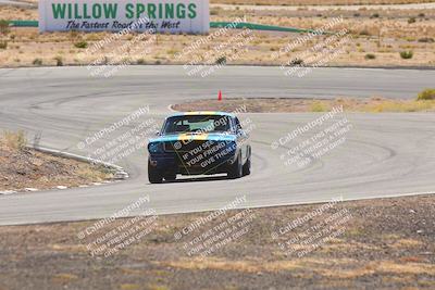 media/Oct-25-2025-West Coast Racing (Sat) [[9fdcbcd09c]]/Yellow group/Turn 4/
